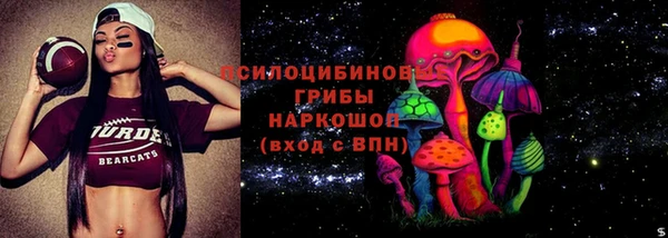 PSILOCYBIN Наволоки