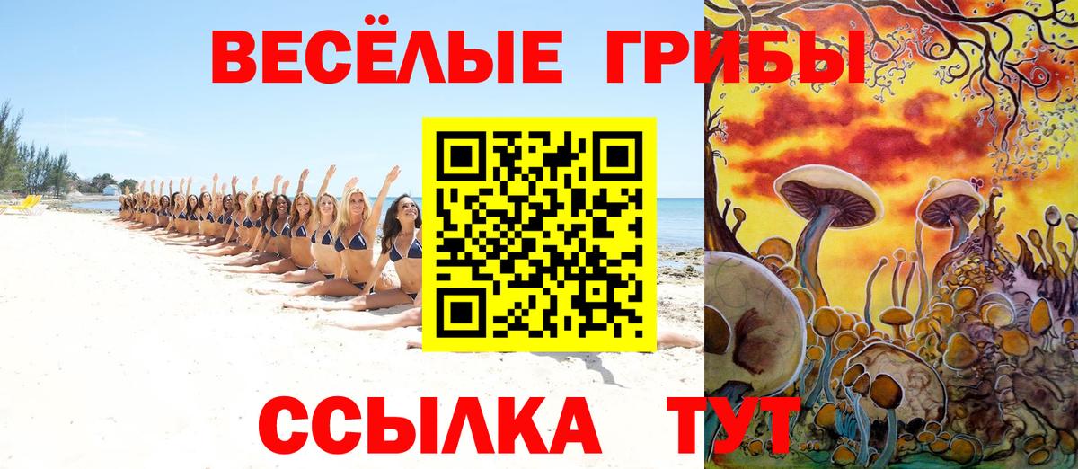 Черемхово  Псилоцибиновые грибы прущие грибы  Вход с VPN 