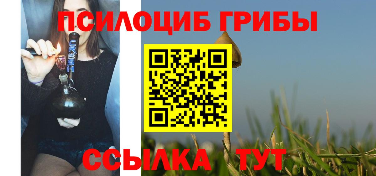 Псилоцибиновые грибы прущие грибы Черемхово